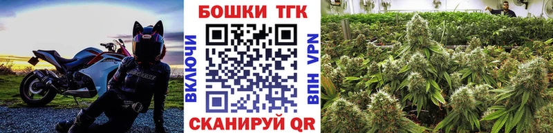 Бошки Шишки гибрид  купить   blacksprut   Узловая 